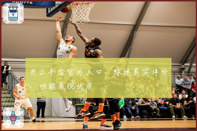 开云平台官方入口，球迷真实评价，功能表现优质