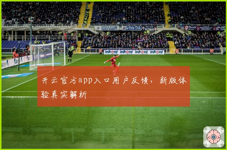 开云官方app入口用户反馈，新版体验真实解析