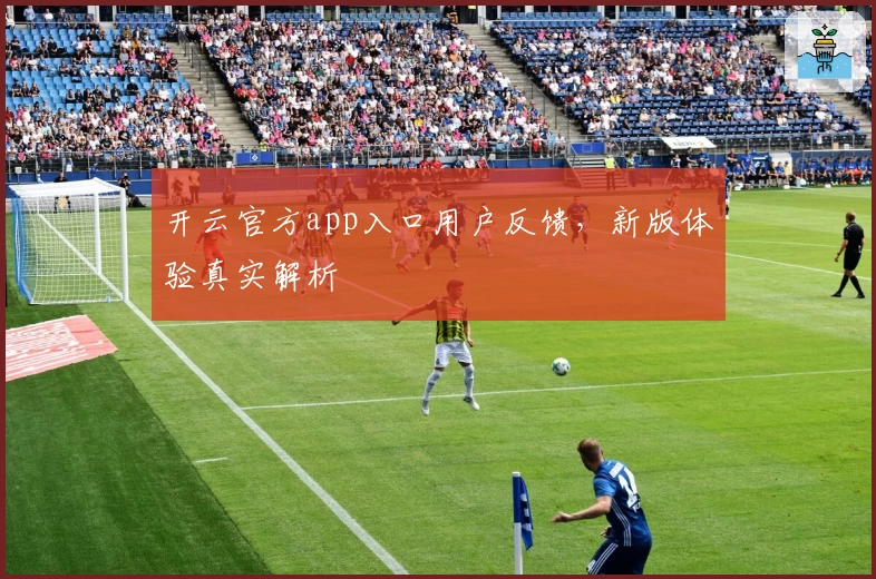 开云官方app入口用户反馈，新版体验真实解析