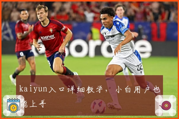 kaiyun入口详细教学，小白用户也能上手