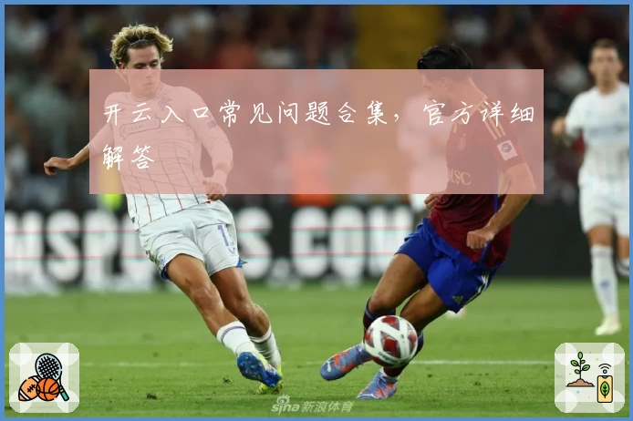 开云入口常见问题合集，官方详细解答