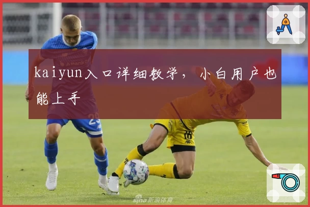 kaiyun入口详细教学,小白用户也能上手